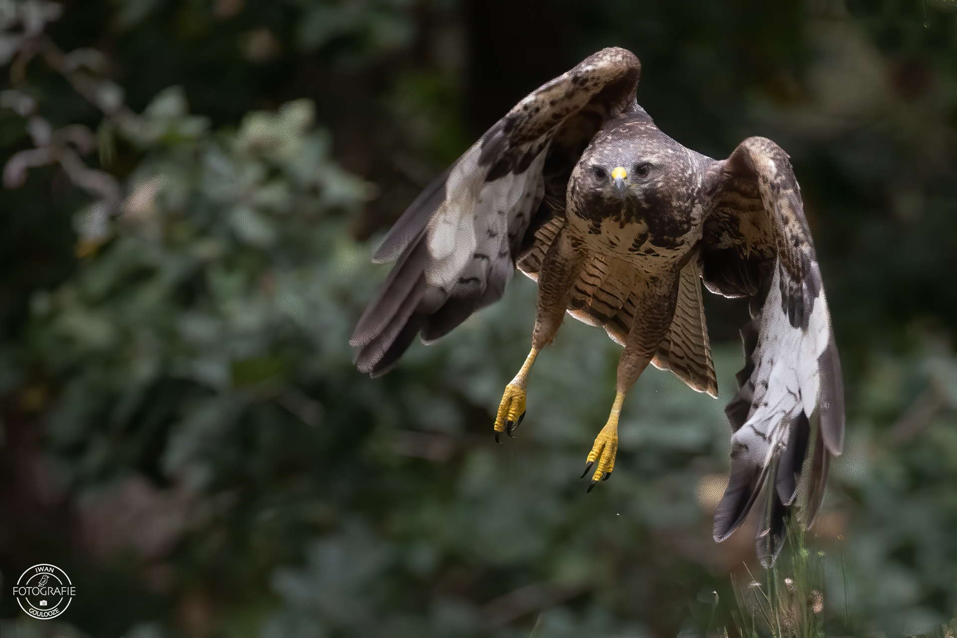 23 oktober 2022 133115 1R2A0705 bewerkt bewerkt